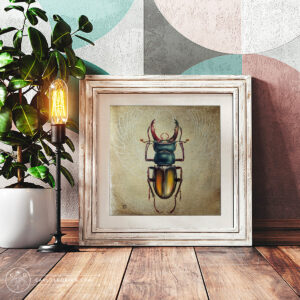 Khepri, The Scarab, Dawn. Giclée Fine Art Print. Limited Edition