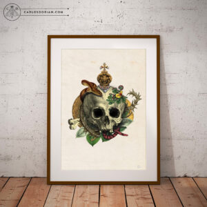 Vanitas, Digital Collage, Fine Art Print. Limited Edition